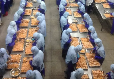 罐头食品 保鲜艺术与生活智慧的完美融合