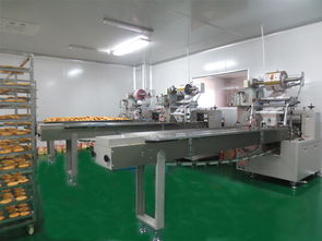 山东地区知名饼干食品厂盘点与选购指南